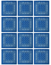 Load image into Gallery viewer, 12-Pack Bandana Headband - Blue